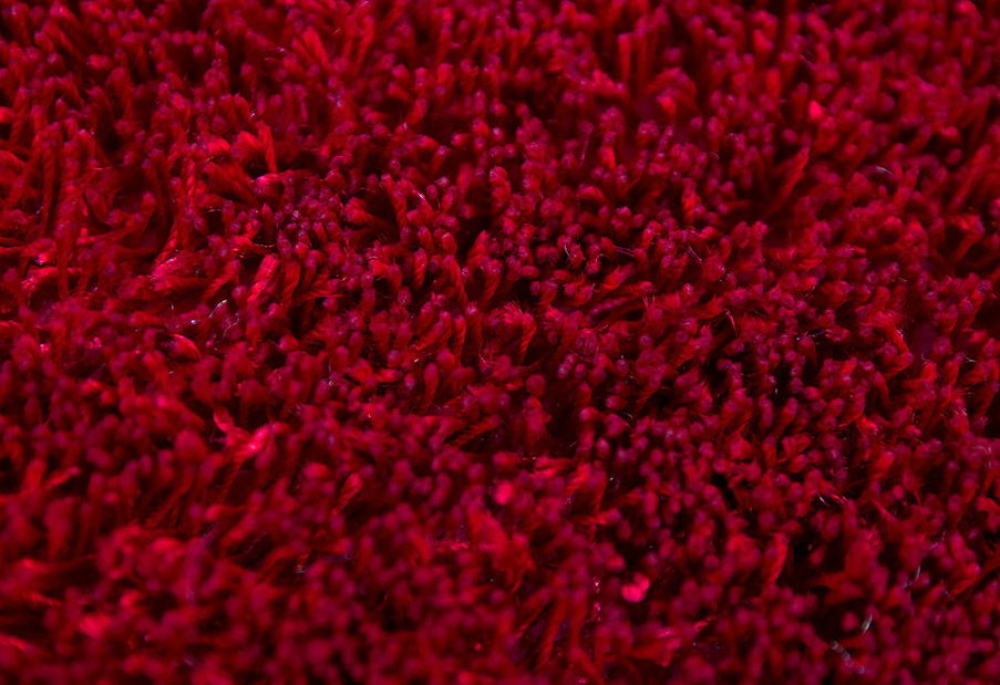 Ručne všívaný koberec Focus 250 Red