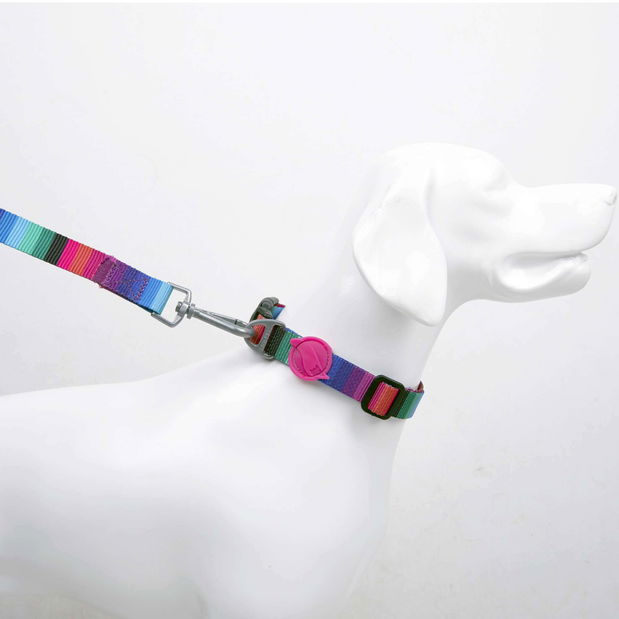 Obojok pre psa Wala (viacfarebné) (XS)