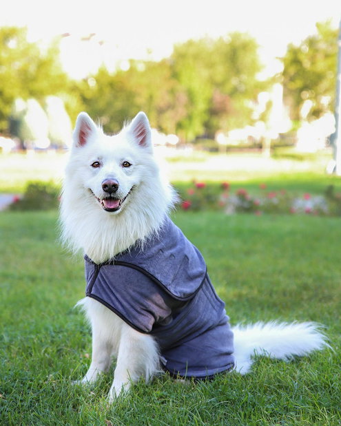 Oblečenie pre psa Drego 1 (sivá)