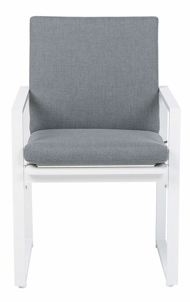 Set scaune 2 buc. Paole (gri)