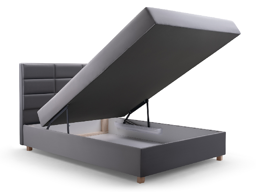 Jednostruki krevet 120 cm Picasso II (siva) (s prostorom za odlaganje i madracem) *rasprodaja