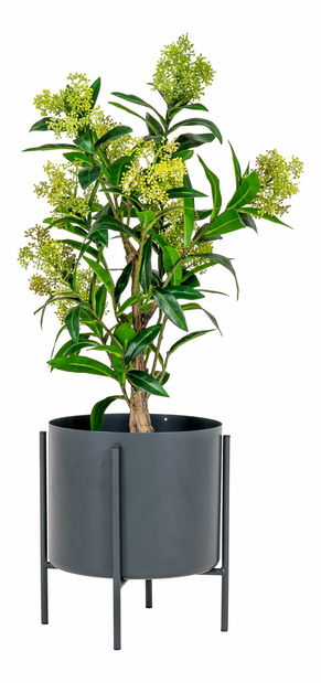 Strom Stalina (zelená)