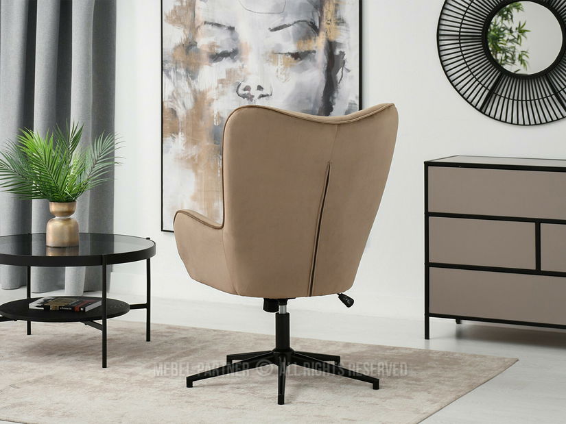 Fotoliu Truni (bej + negru)