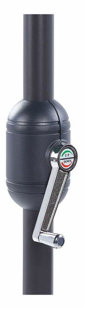 Slnečník Giovanni (zelená)