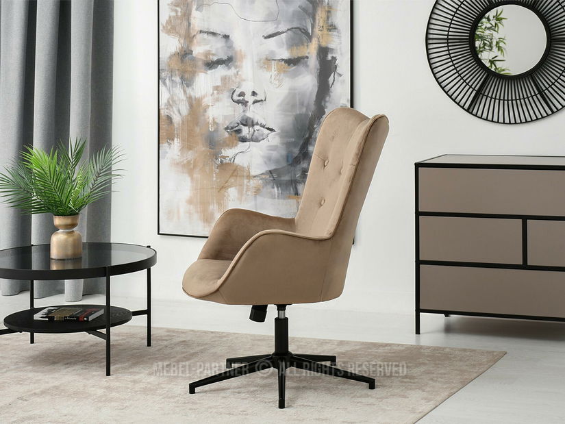 Kreslo Truni (béžová + čierna)