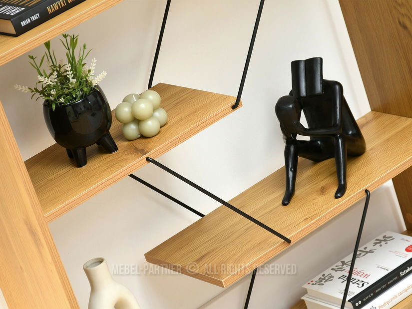 Raft Hunde B (negru)