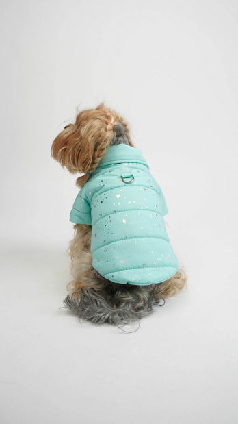 Bunda pre psa Angela (modrá) (M)