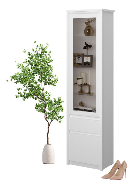 Vitrina Ethan 1D1W1S (bijela)
