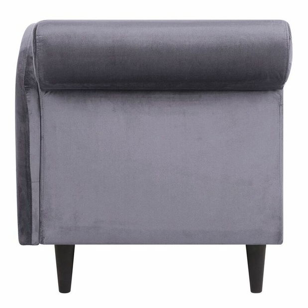 Leňoška Luissiana (tmavosivá) (L)