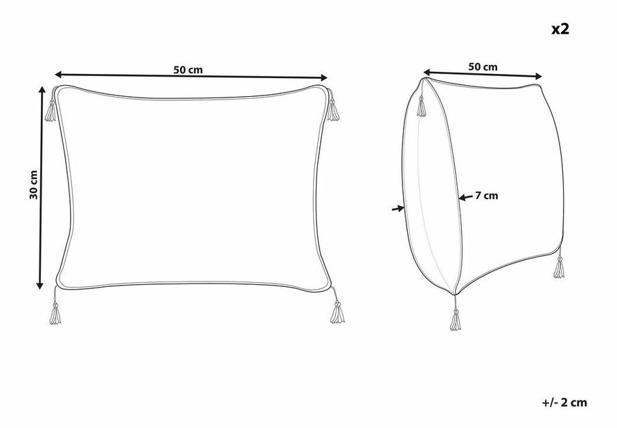 Sada 2 ozdobných vankúšov 30 x 50 cm Schel (biela)