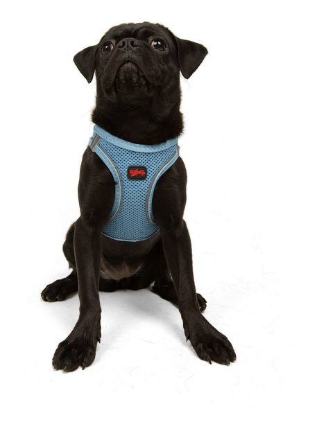 Postroj pre psa Airy (modrá) (XL)