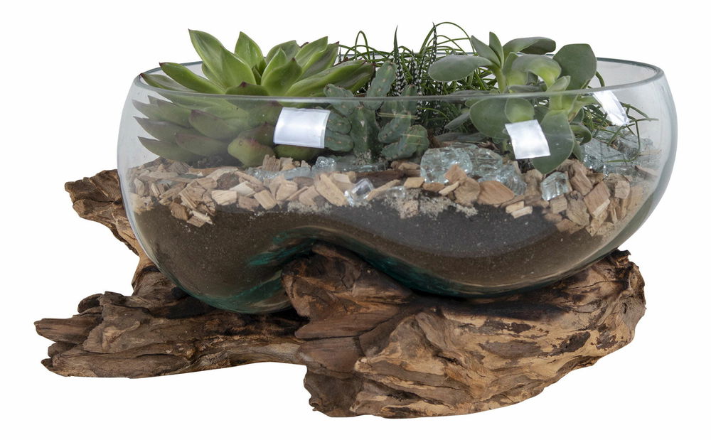 Dekorácia Sorelia 4 (prírodná)