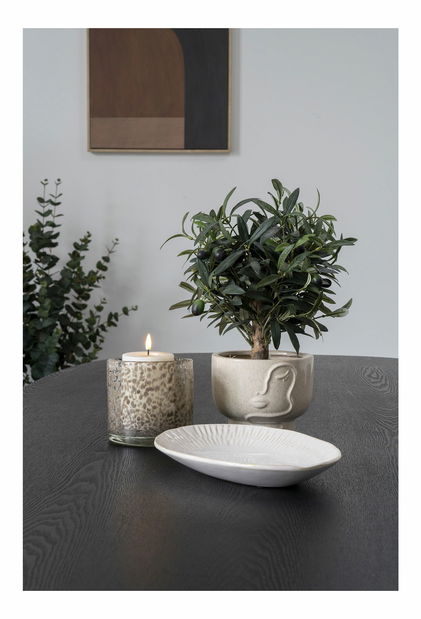 Svietnik Csaloria 18 (svetlohnedá)