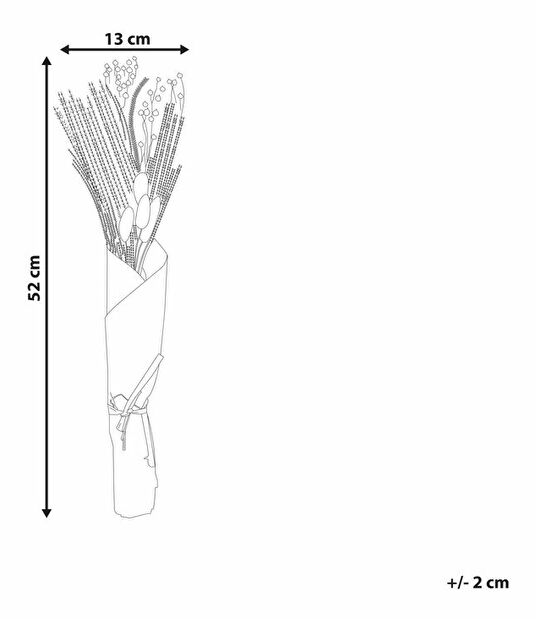 Buchet flori uscate Coco (natural)