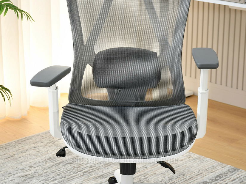 Fotoliu de birou Derenis (gri + alb)