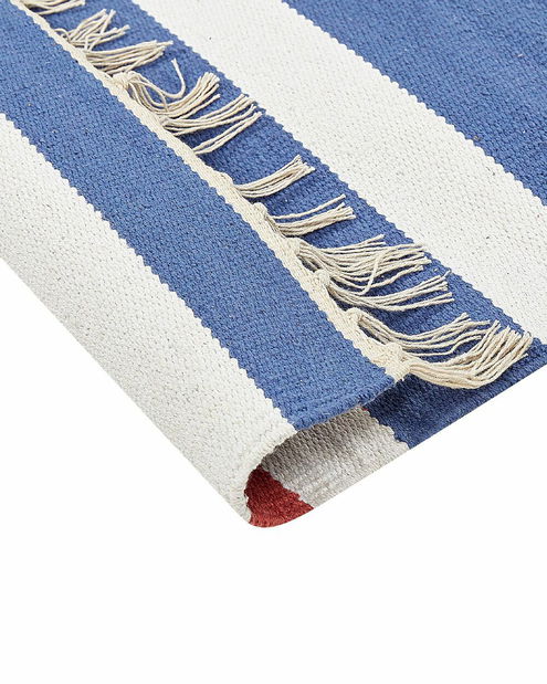 Koberec 80 x 300 cm Vase (viacfarebná)