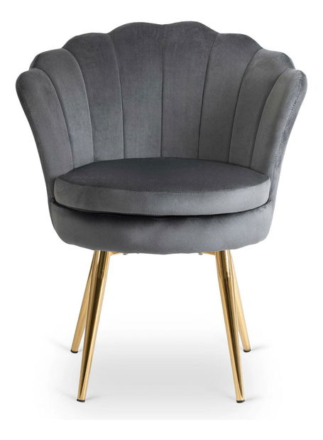 Fotoliu Vivieron (gri) 