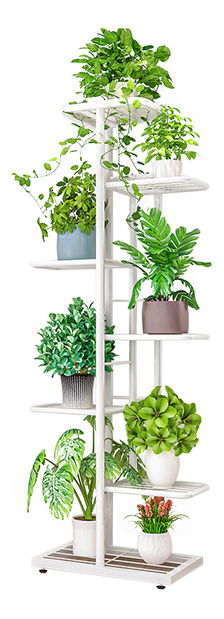 Ghiveci Beaumont (alb)