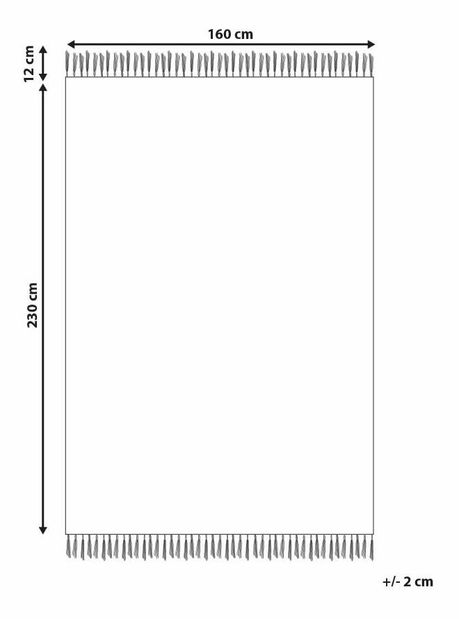 Szőnyeg 160 x 230 cm Turhy (bézs)