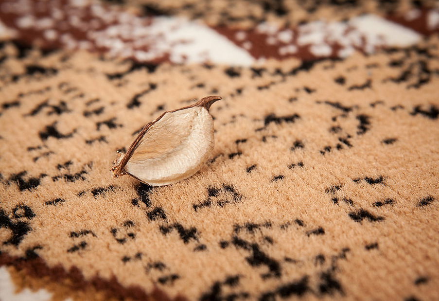 Covoare Sahara 287 Beige