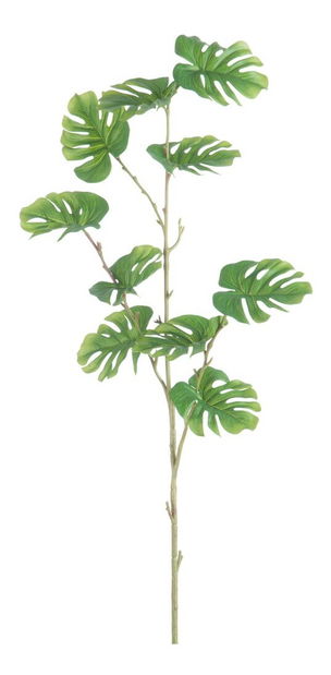 Kvetina Jolipa Vetvička Man Cave (30x10x110cm) (Zelená)