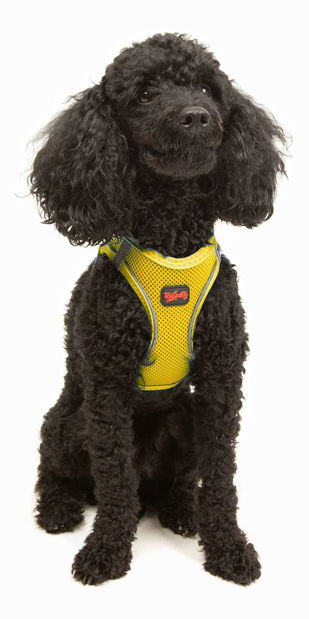 Postroj pre psa Airy (žltá) (2XS)