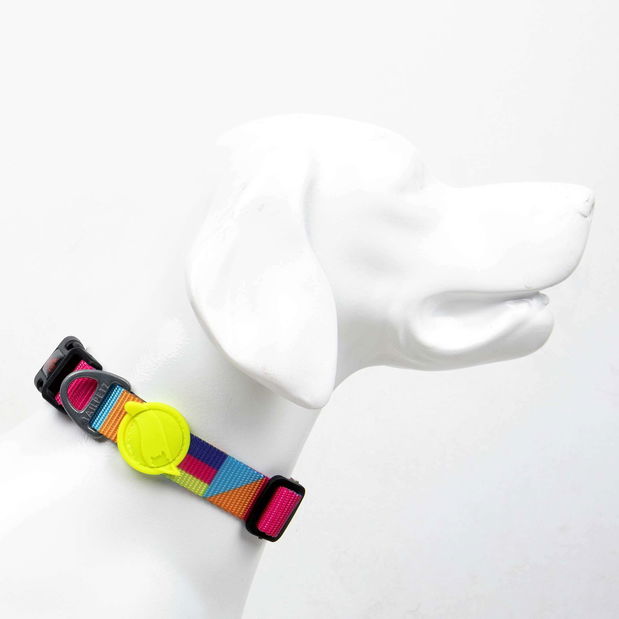 Obojok pre psa Spirr (viacfarebné) (XS)