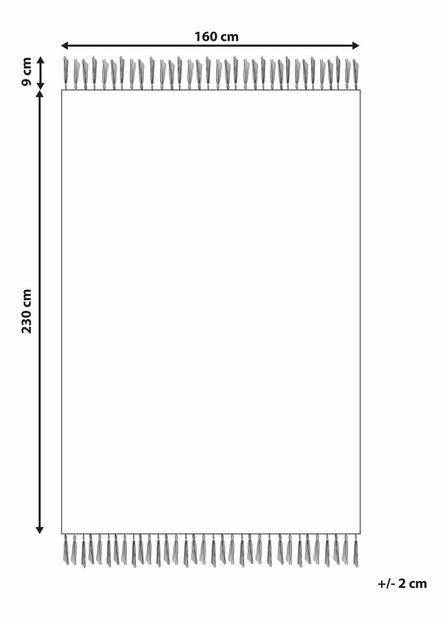 Koberec 160 x 230 cm Itan (béžová)