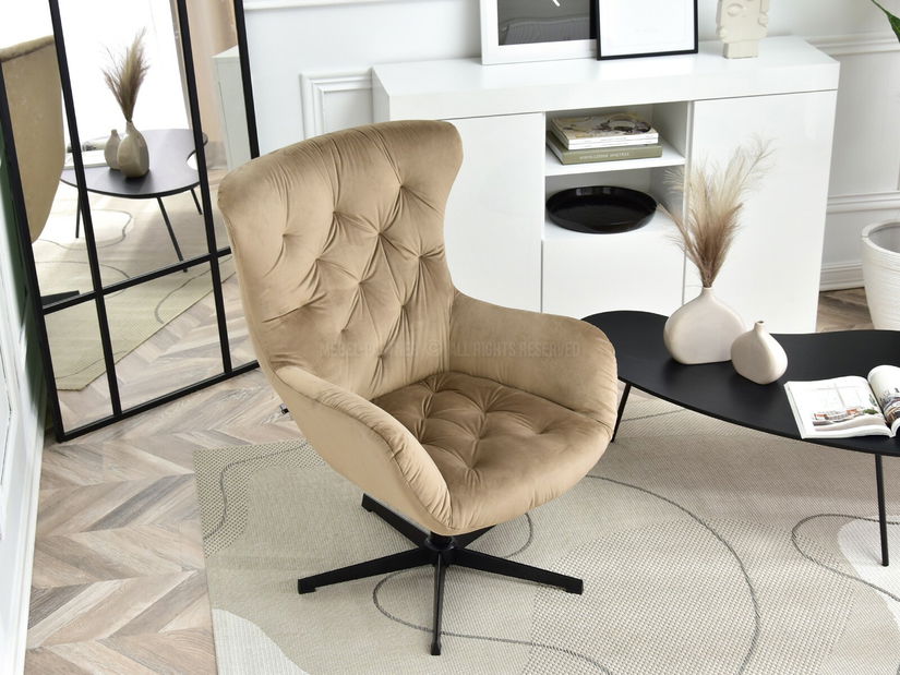 Křeslo Aaron (béžová + černá)