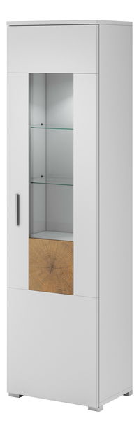 Vitrína Wolston Typ 06