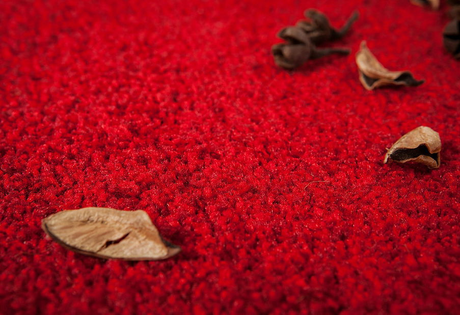 Kusový koberec Sensation 100 Red