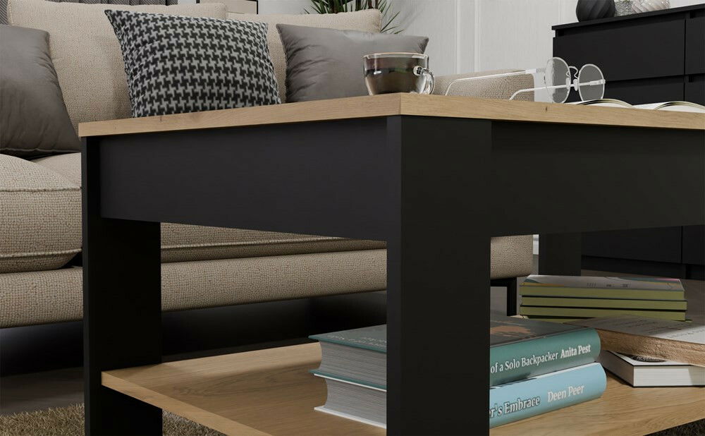Konferenční stolek Oxido 1 (dub artisan + černá)