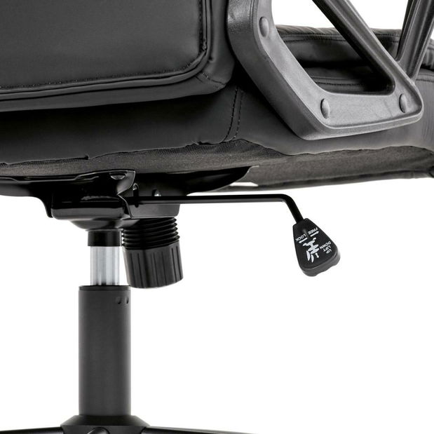 Kancelářské křeslo Revisara (černá)