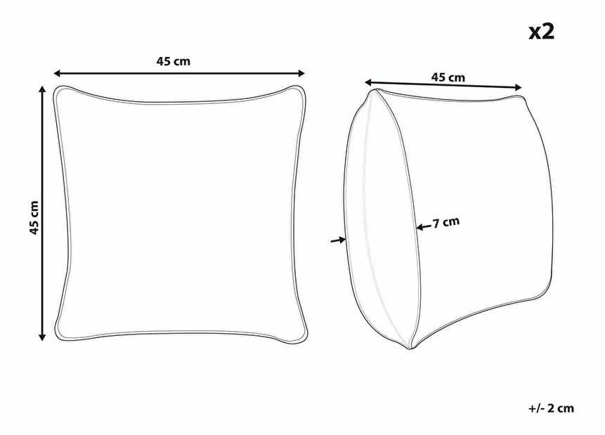 Sada 2 ozdobných polštářů 42 x 42 cm Luba (bílá)