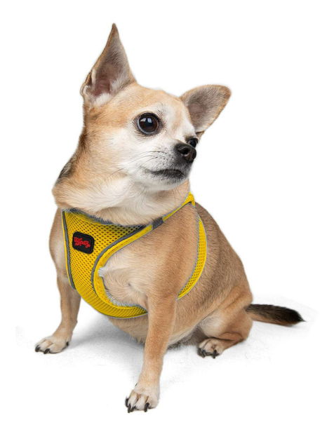 Postroj pro psa Airy (granátová červeň) (S)