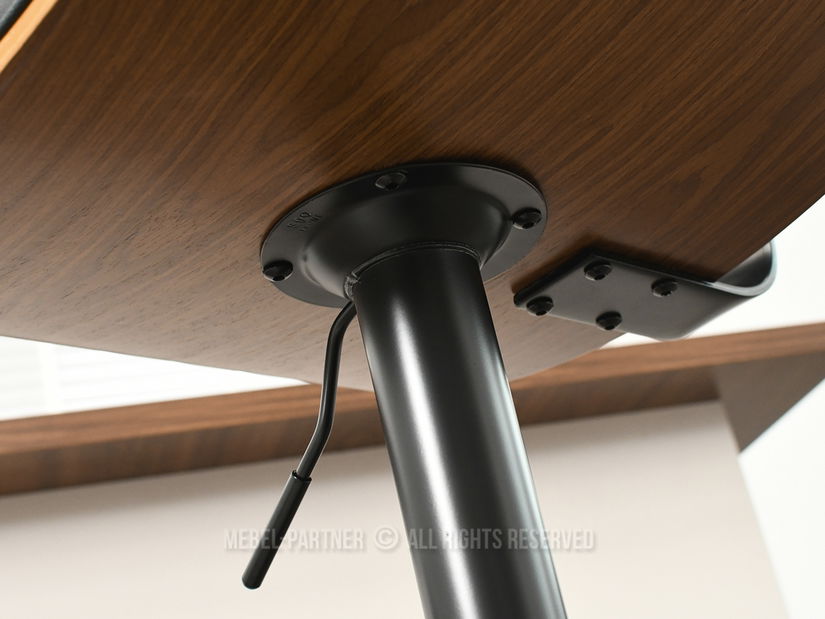 Židle Hasky (ořech tmavý + černá)