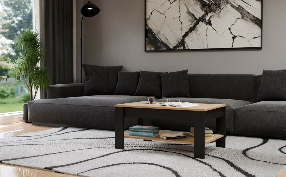 Konferenční stolek Oxido 1 (dub artisan + černá)