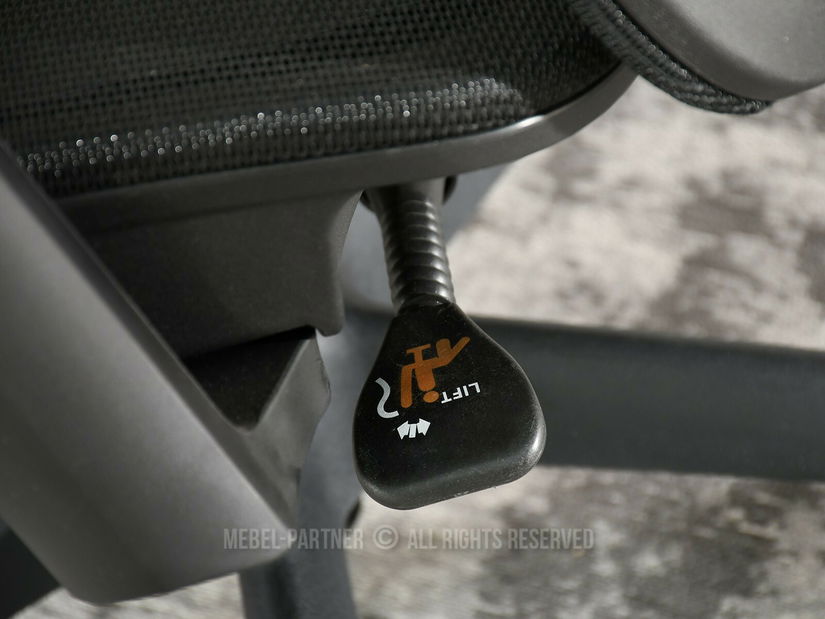 Kancelářské křeslo Derenis (černá)