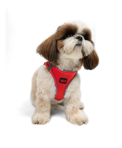 Postroj pro psa Airy (granátová červeň) (2XS)