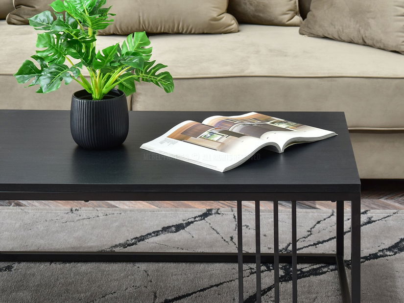 Konferenční stolek Madeleine Xl (černá)