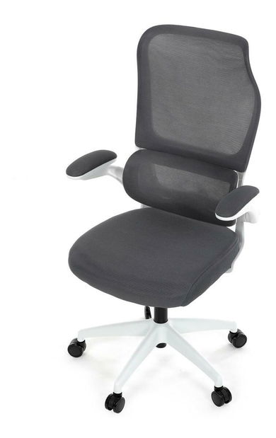Kancelářské křeslo Inaugurados (šedá)