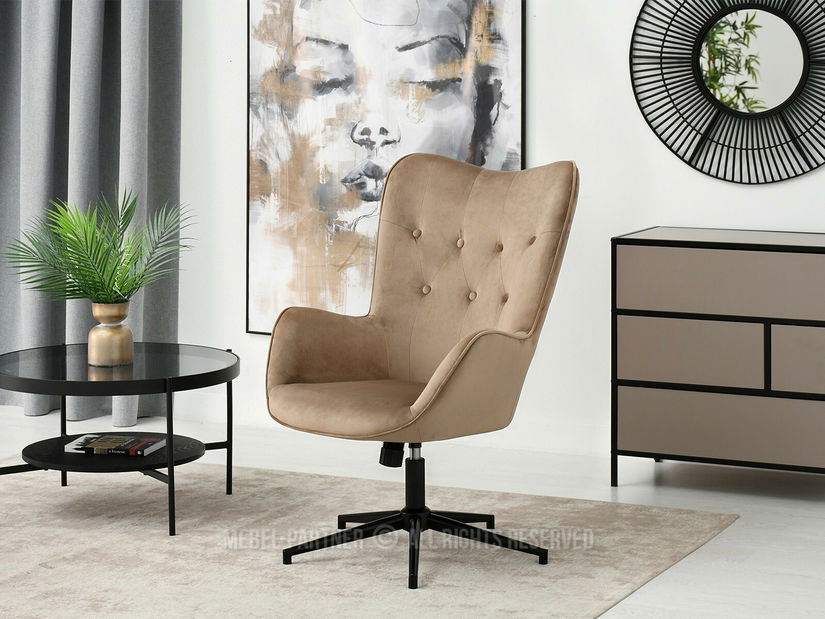 Křeslo Truni (béžová + černá)