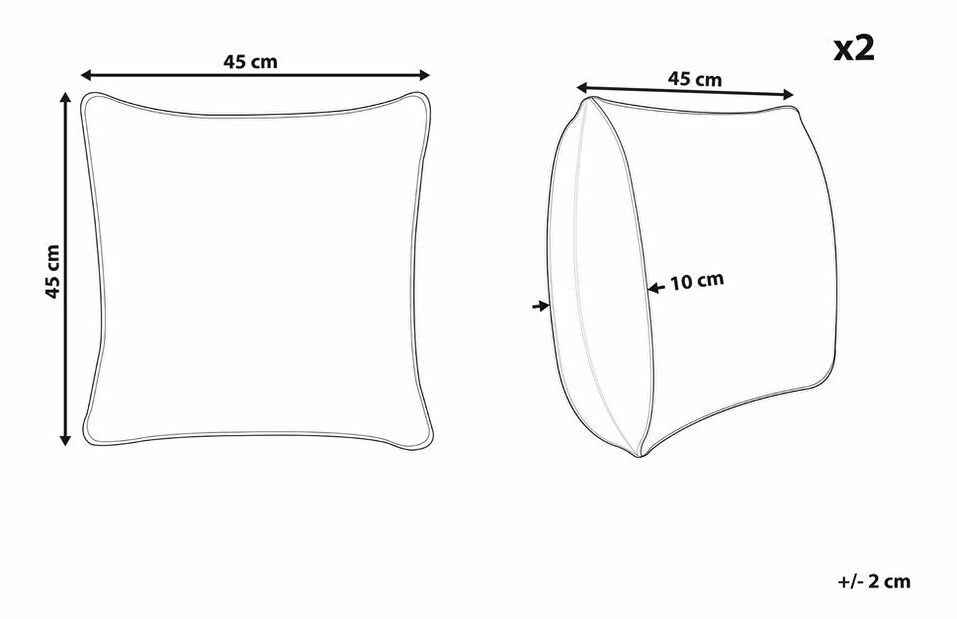 Sada 2 ozdobných polštářů 45 x 45 cm Sesba (vícebarevná)