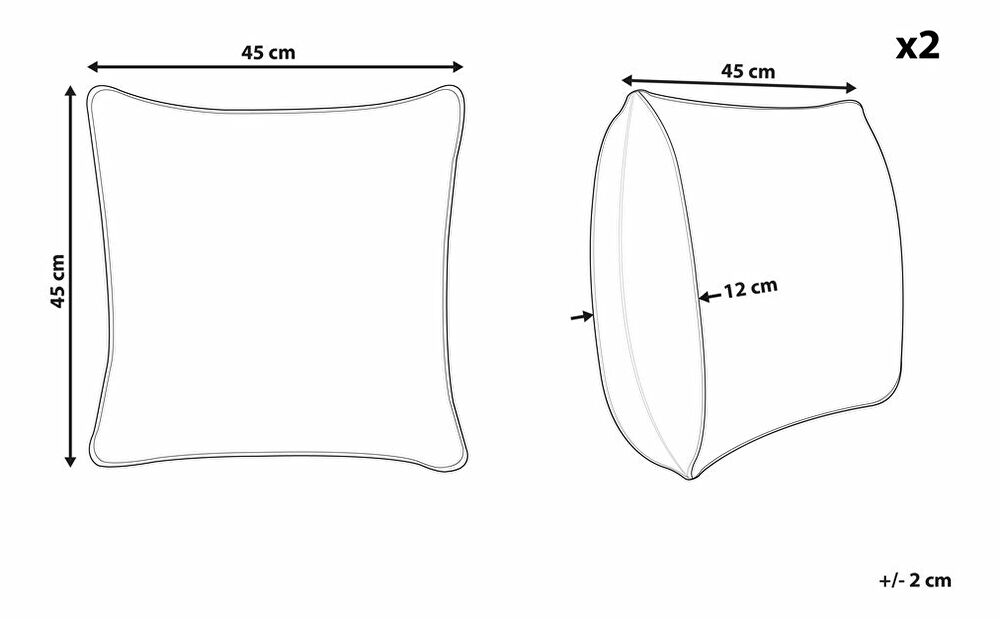 Sada 2 ozdobných polštářů 45 x 45 cm Wakza (béžová)