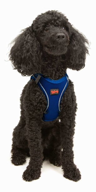 Postroj pro psa Airy (růžová) (S)