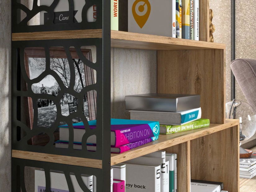 Regál Franc 31 (borovice atlantická)