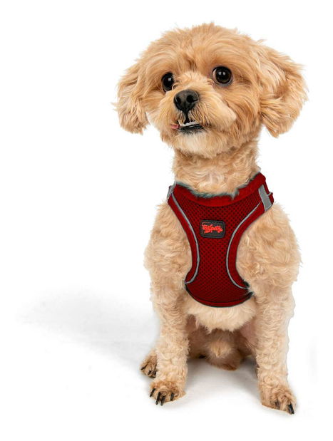 Postroj pro psa Airy (červená) (L)
