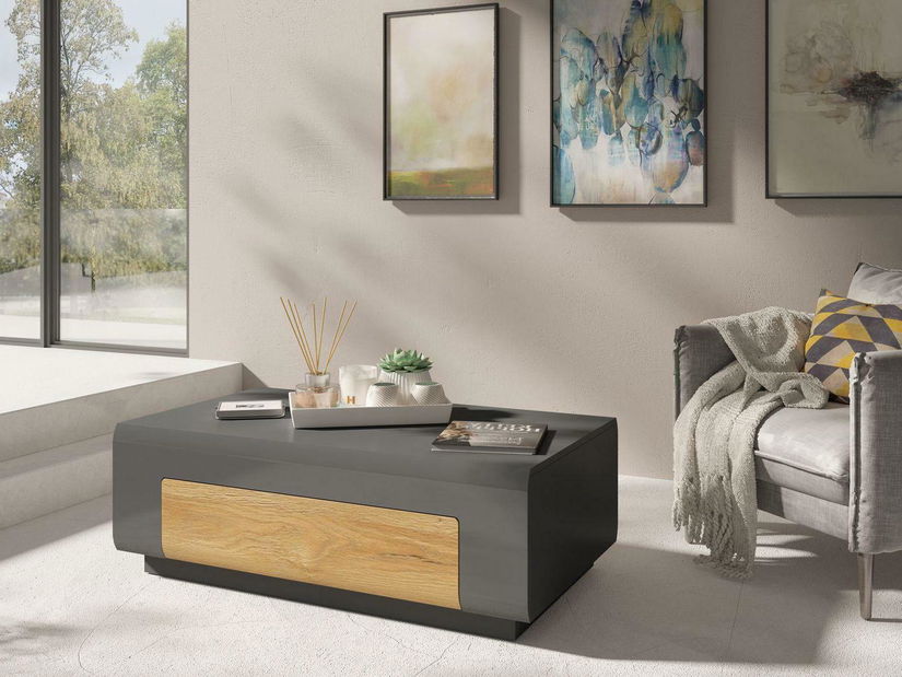 Konferenční stolek Tamie- Typ 99 (tmavě šedá + dub)