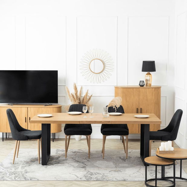 Jídelní židle Trasladal (černá)