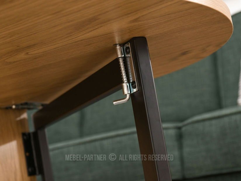 Konferenční stolek Espana (dub černý + černá)